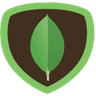 MongoDB logo